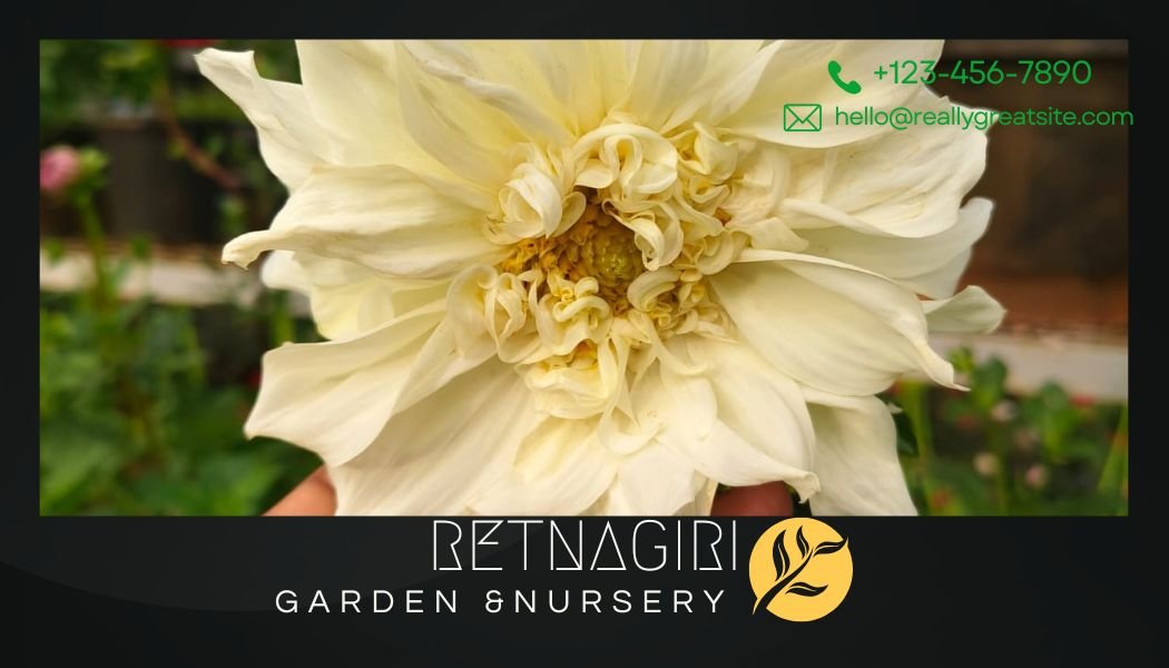 Green Modern Agriculture Business Card